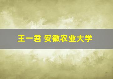 王一君 安徽农业大学